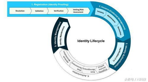 金準報告 數字識別技術賦能產業升級——應用解析與技術服務體系構建
