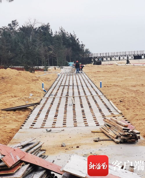 原創(chuàng)組圖 ?？谖骱０敦炌ǜ鹿こ套钚逻M展 國際會展中心附近沿海新建路完成瀝青路面鋪設