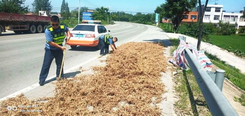 維護公路運行安全 天門開展路域環(huán)境綜合整治行動